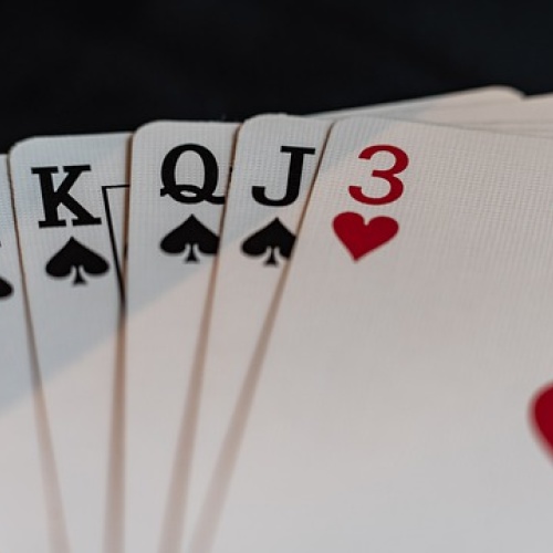 Togel4D, Main Togel, Togel Jackpot, Togel Legal, Situs Bandar Togel,
